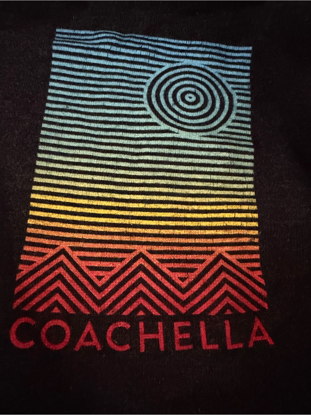 Coachella 2014 Full Zip Hoodie Sweatshirt Festival Lineup Print Gray Sz M - Picture 3 of 6
